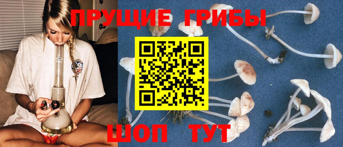 Псилоцибиновые грибы мухоморы  Вход с VPN  Волгоград  Псилоцибиновые грибы прущие грибы 