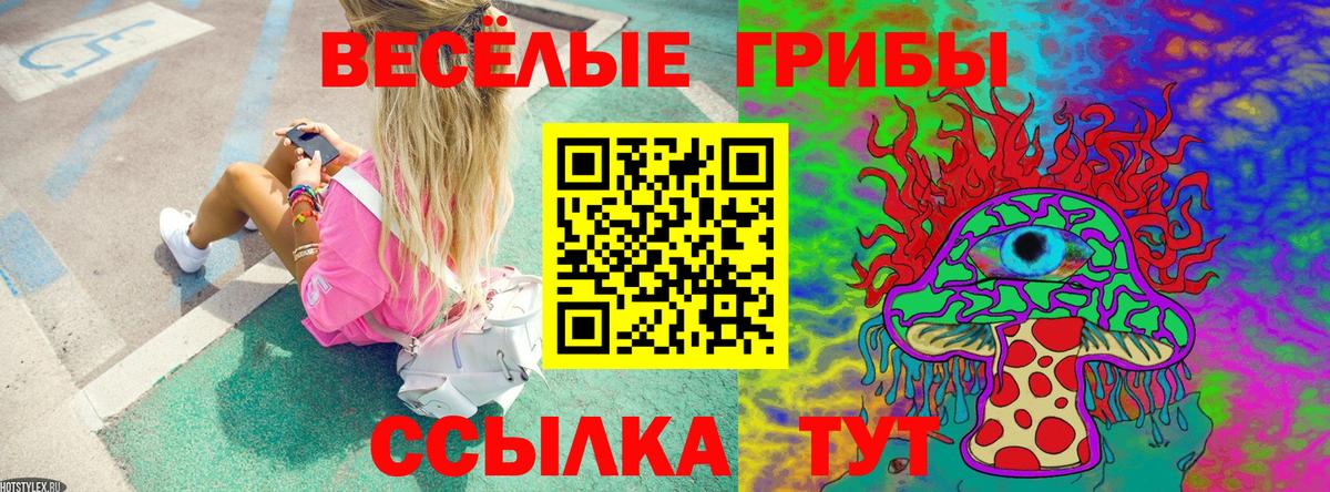 Галлюциногенные грибы ЛСД Волгоград
